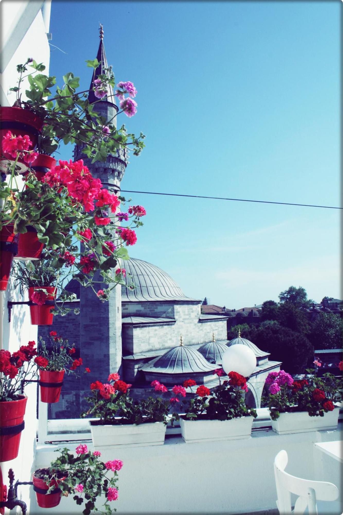 No20 Hotel Sultanahmet Κωνσταντινούπολη Εξωτερικό φωτογραφία